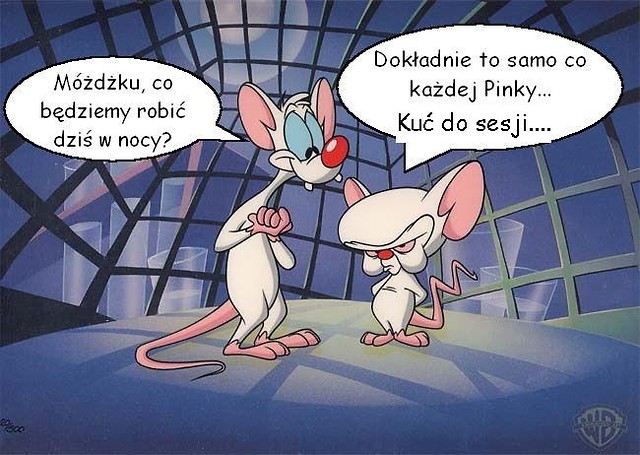 Wpis loczkoski75