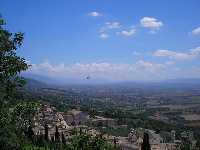 assisi