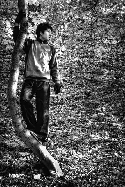 Tarzan