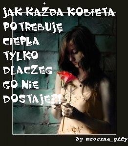 Wpis botojestmodne