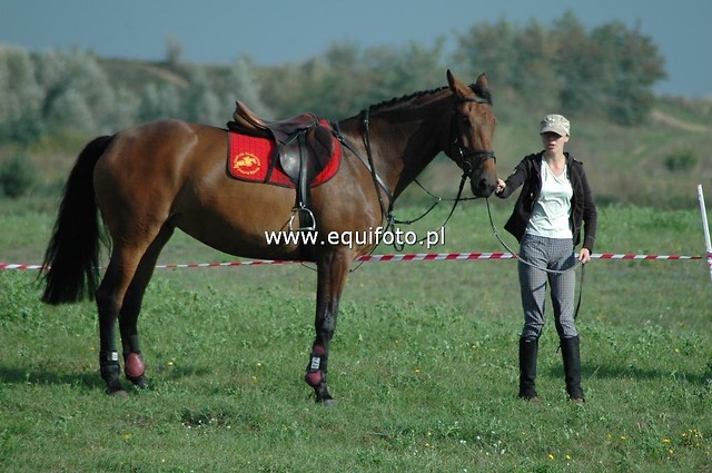 w Borwku :)