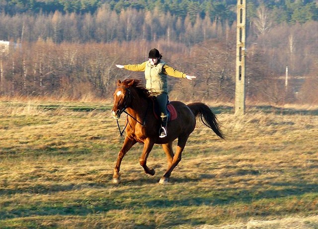 Wpis blankaksa