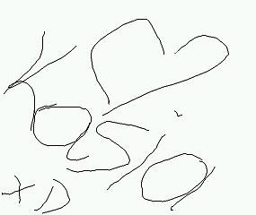 Wpis yohoo