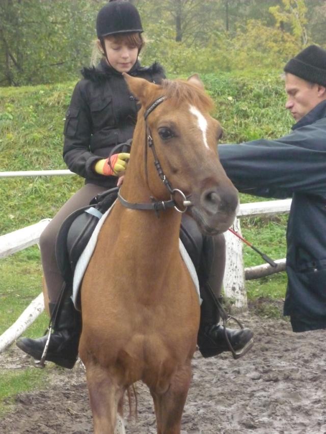 Wpis zulspodbiedronki