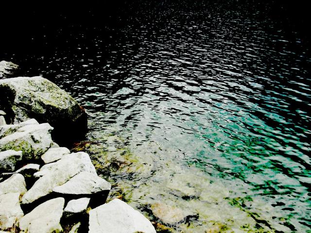 Wpis reflekcja