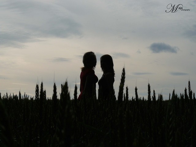 z oksi oks.!