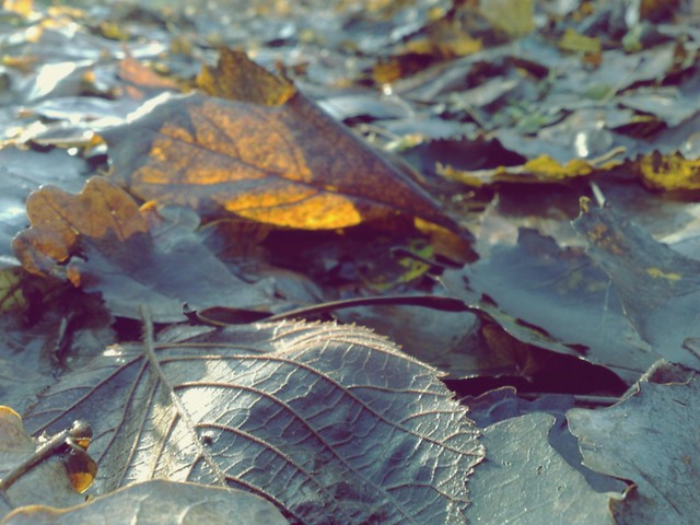 znow tak mocno tego chce :-(