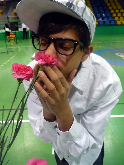 Wpis chlopaknaopak