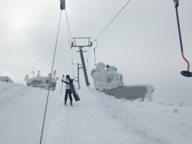 2009.