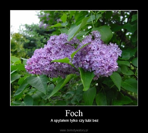 lubisz bez ? ; - pp