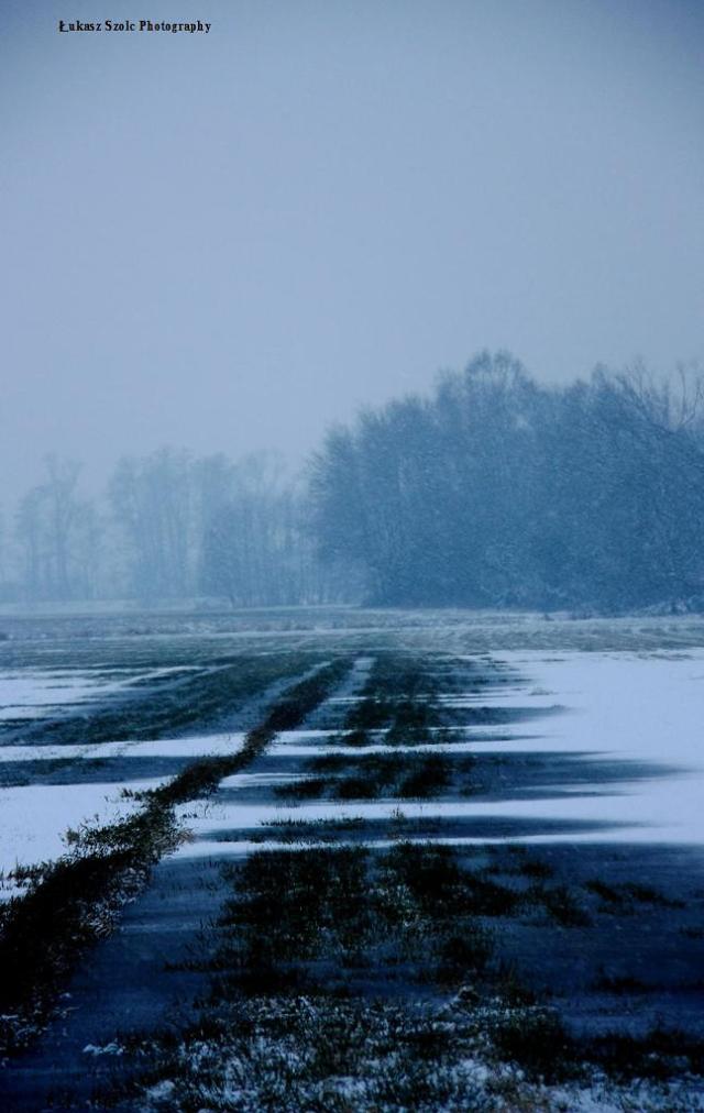 Ice