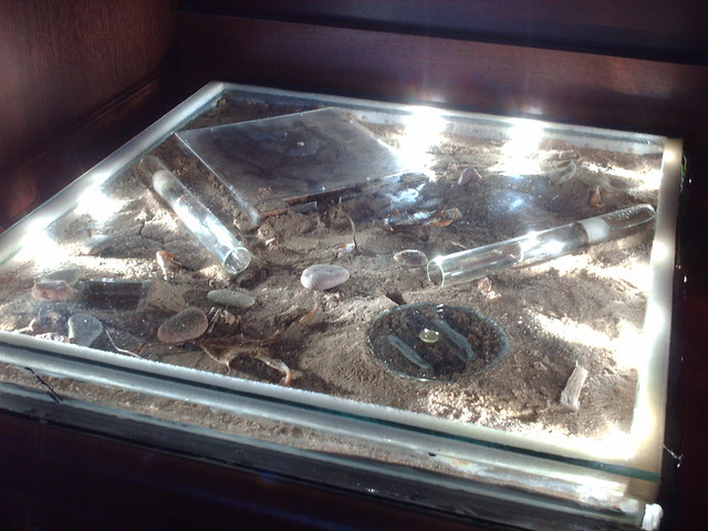 Formikarium
