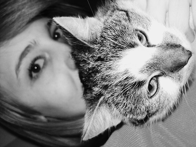 mrau..