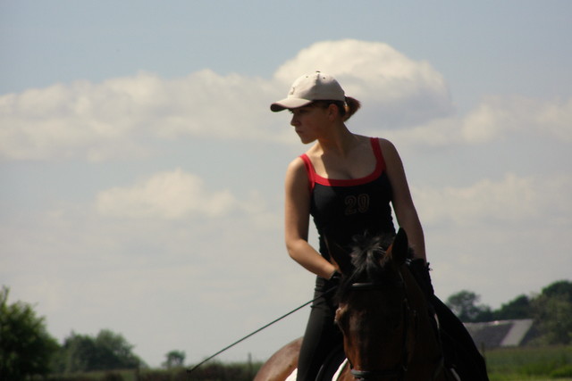 2010