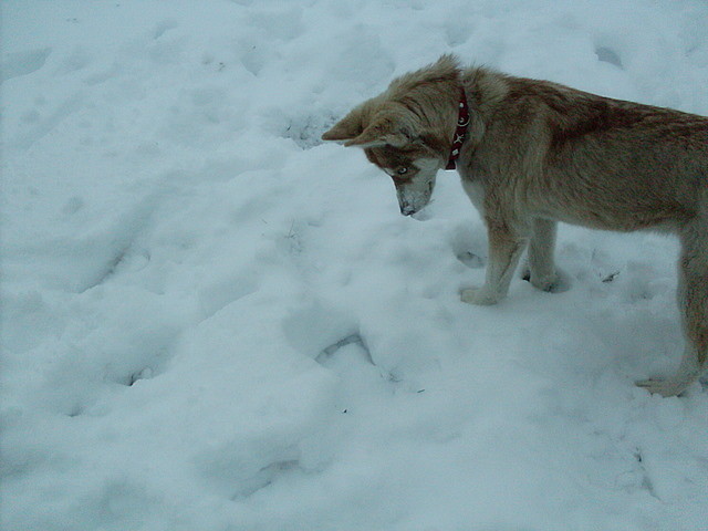 nieeg ! ^^