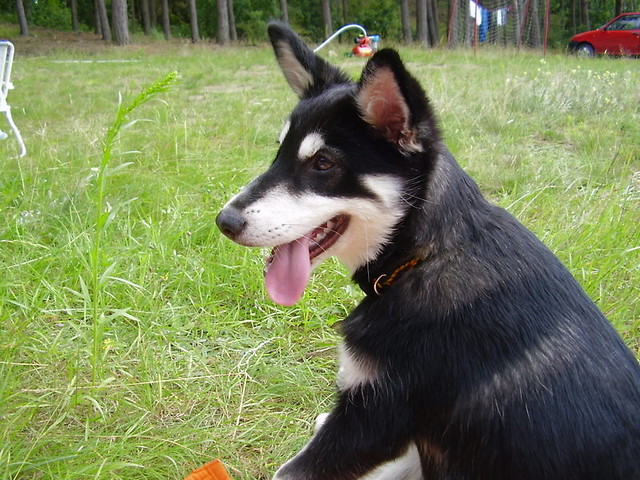 TAJRA :)