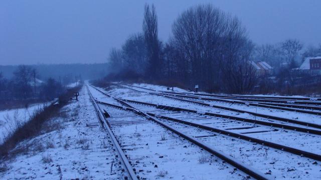 Lane