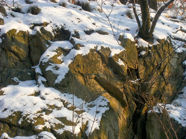 przyroda