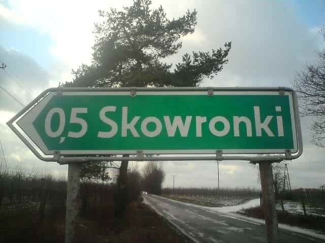 kierunek skowronki