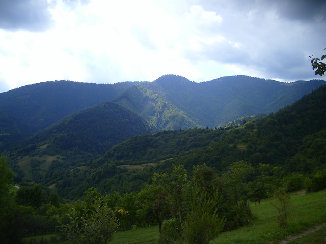 pamitny 2008rok....