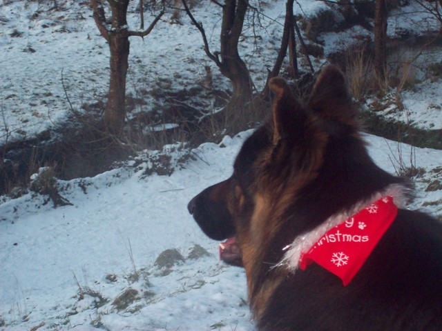 co ja robie tu uu :) ; P