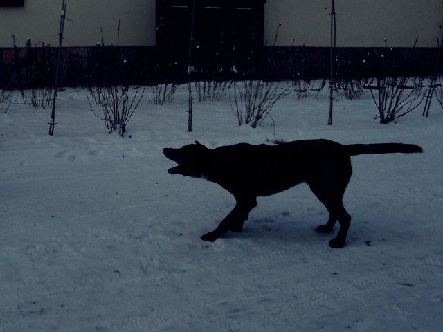 black ...