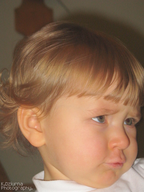 Dzie sdu.