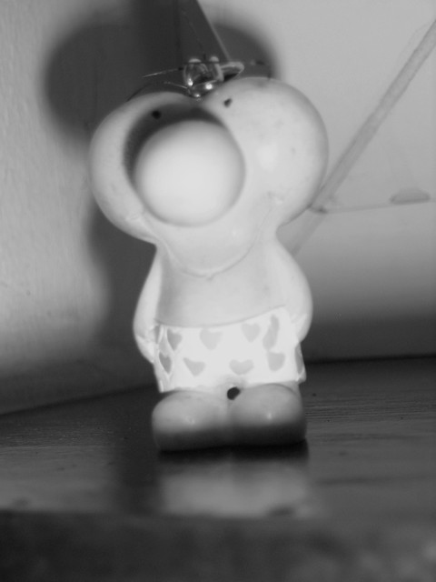 dwadziecia !