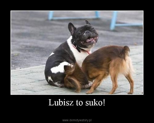 Lubisz to! :DD