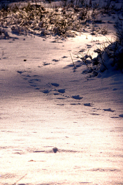 winter time