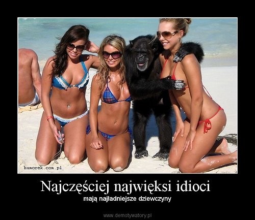Wpis andrzej14n