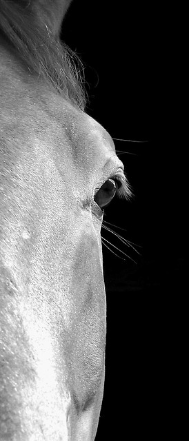 Eye.