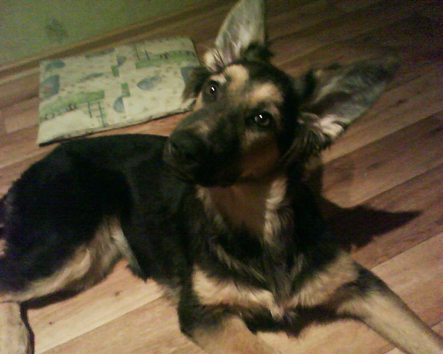 Astra ^^