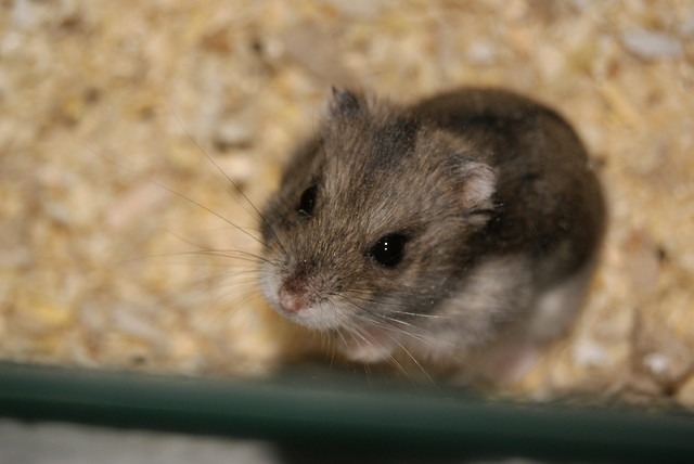 Wpis amadeuszek997