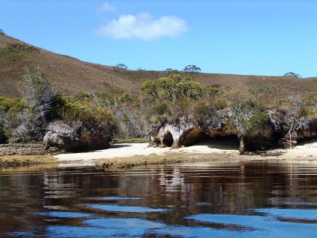 Brzeg Schooer Cove