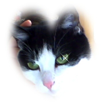 Moja:******