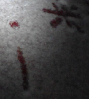 26.