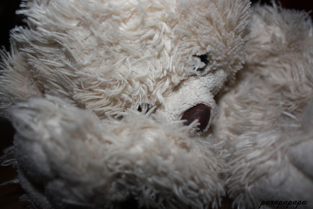 Teddy bear.