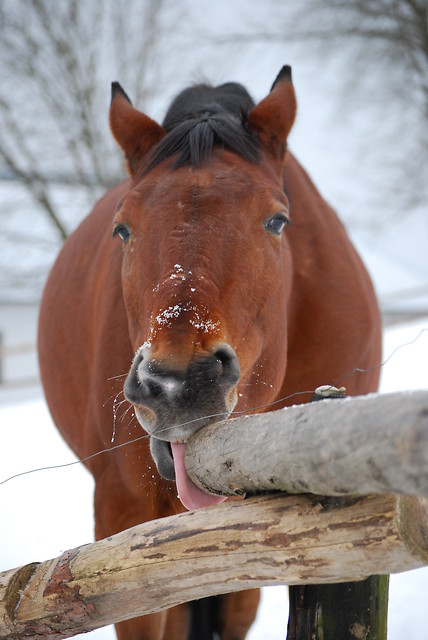 Tasty!