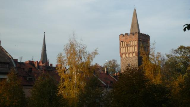 miasto