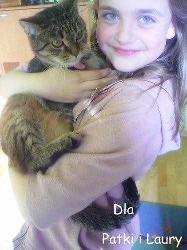 Wpis diaabeleq