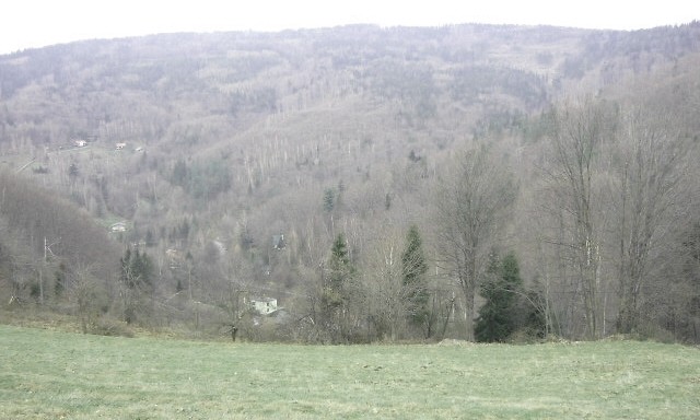 Wpis bladaczern