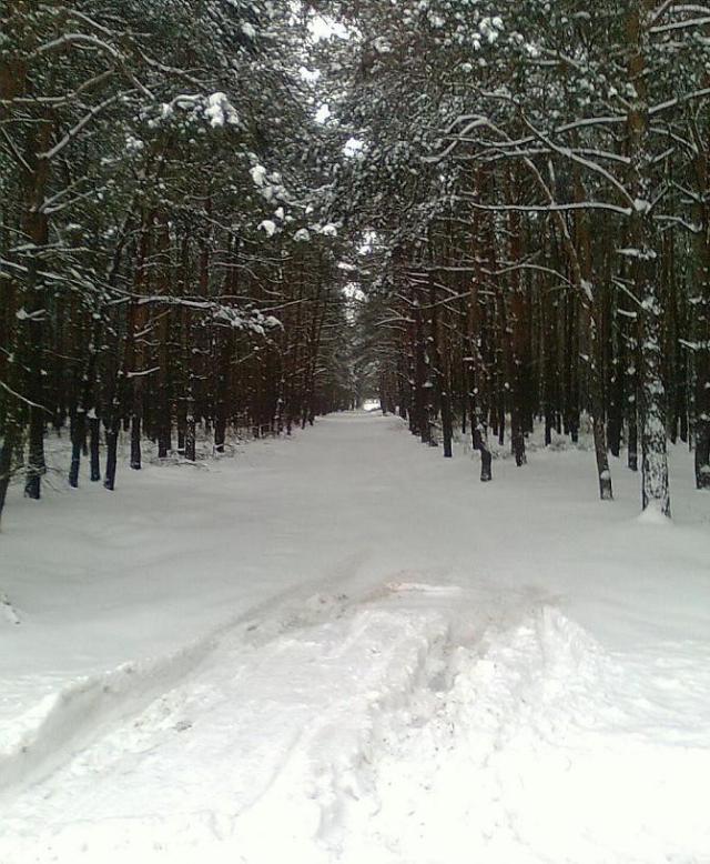 snow avenue xDD