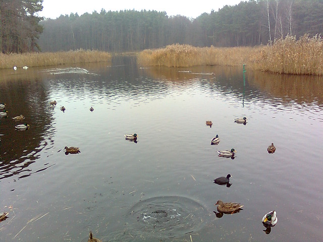 way to school