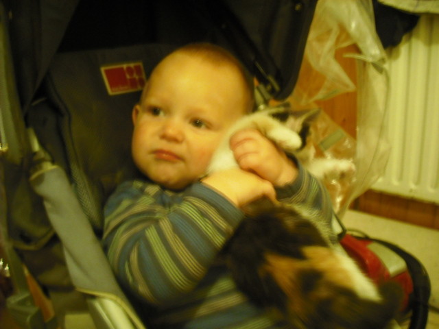 Filip i Pchelka