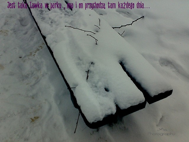 Wpis permanentniie