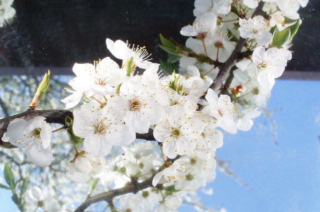 Wpis photography0700
