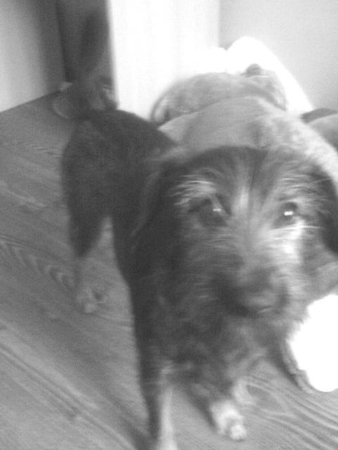 Lady < 3 3 3