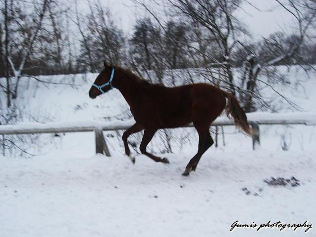 Jarosaw. :)