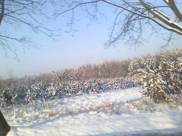 Prawie jak narnia od strony szaf